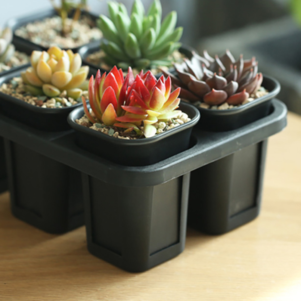 8 Holes Nursery Pot Plastic Su - огляд і ціна Baby Nursery Green